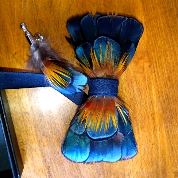 Other - Feather bow ties, vibrant blue! Brand new in box!!